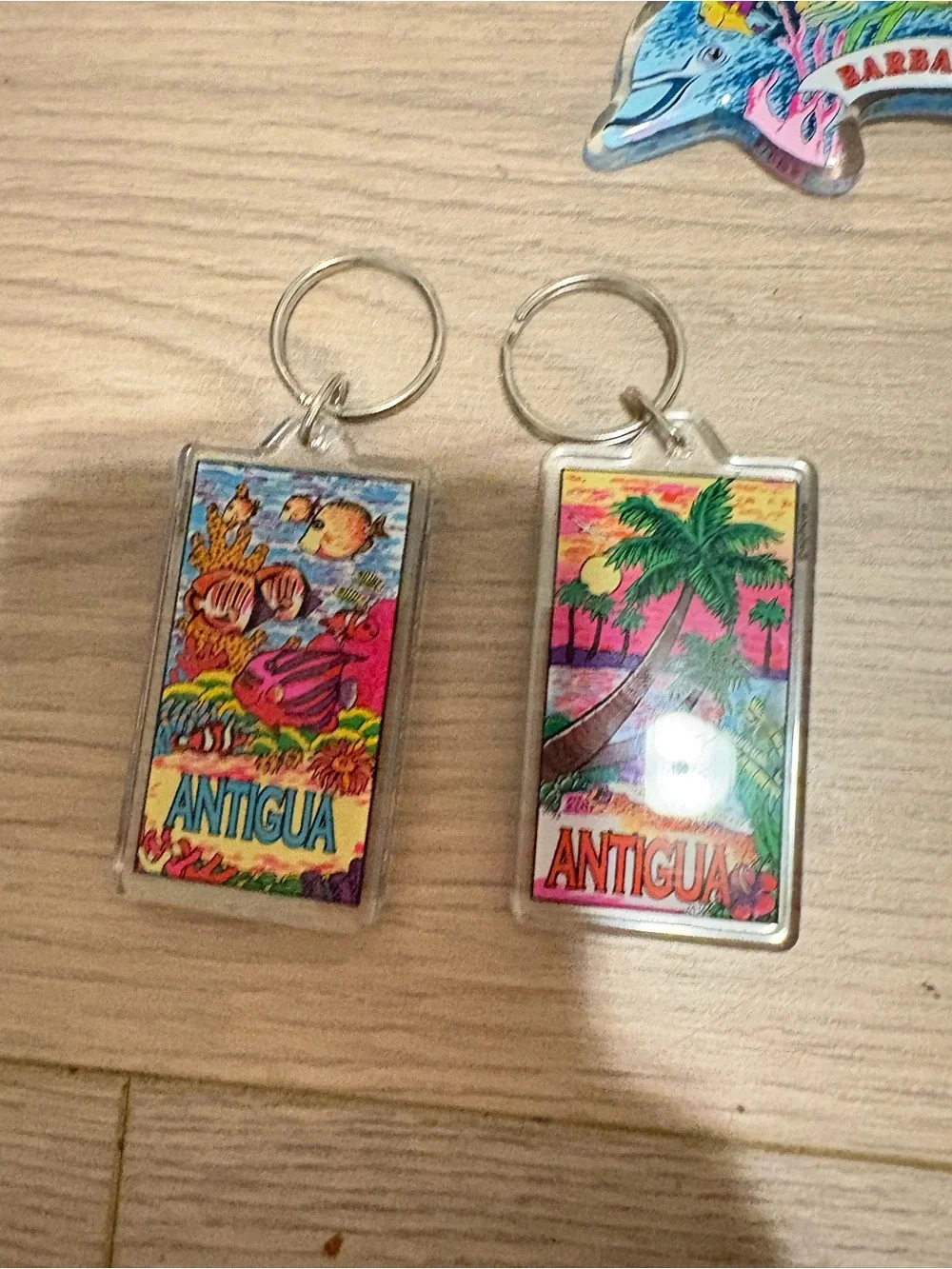 Souvenir Keychain Set - Barbados & Antigua - Multicolor